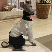 Fleece Onesie for Italian greyhound Whippet Dog Clothes