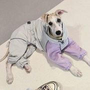 Outdoor Raincoats Waterproof for Italian greyhound Whippet Dog Clothes