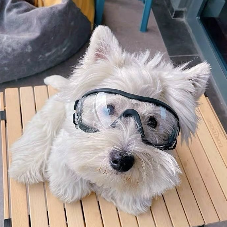 Dog Outdoor Goggles Sunglasses Windproof