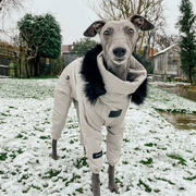 Snowsuit Thickened Jacket Cotton Coat Italian Greyhound Whippet Dog Clothes