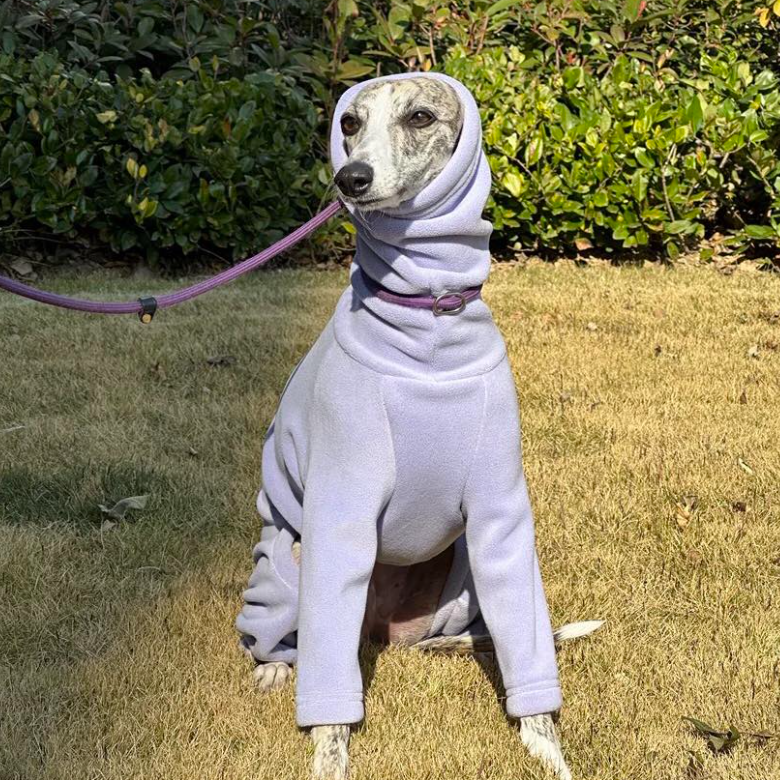 Double Fleece Onesie for Italian Greyhound Whippet Dog Clothes