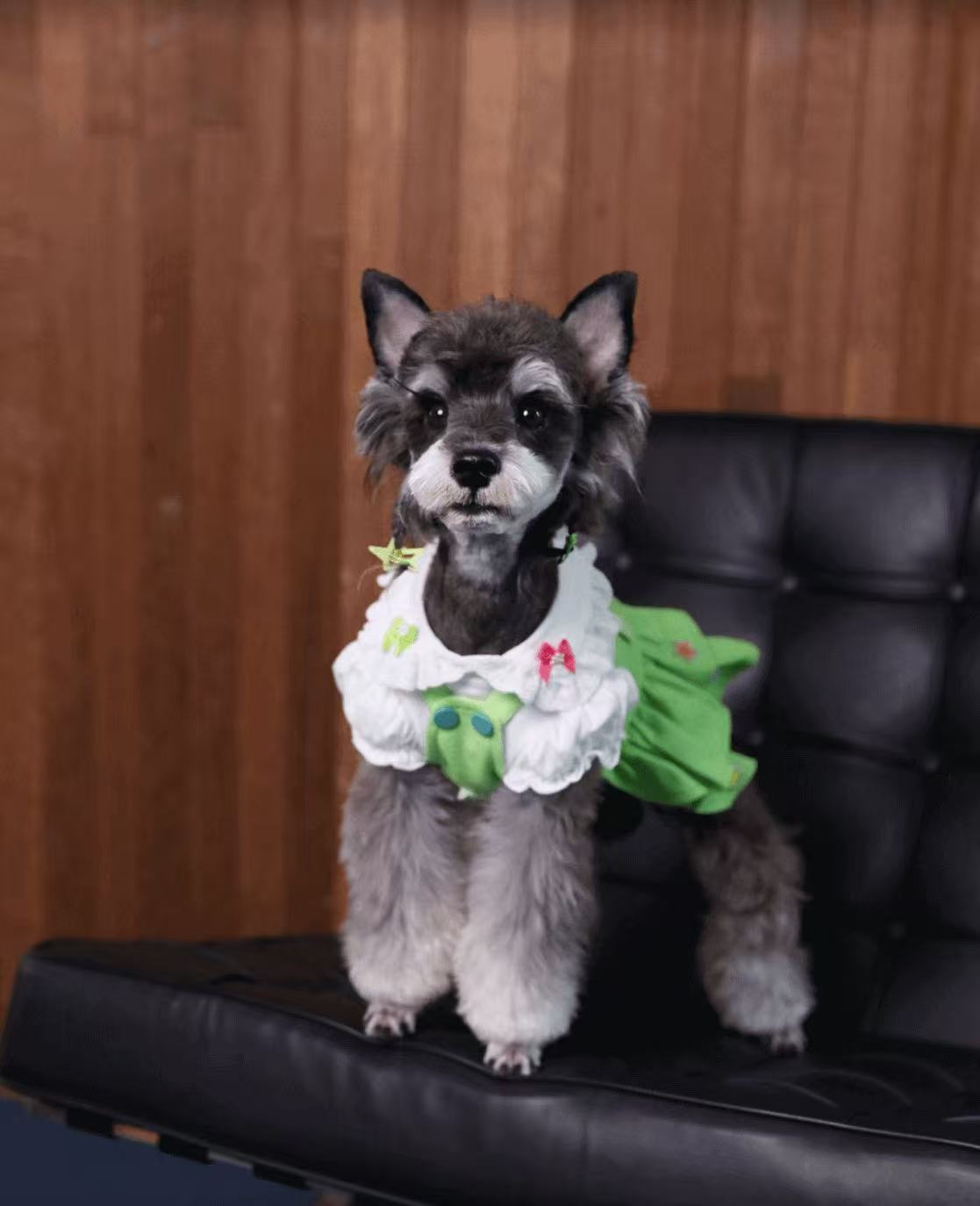 BELO Green Pet Suspender Dress – Stylish Dog Overall Outfit