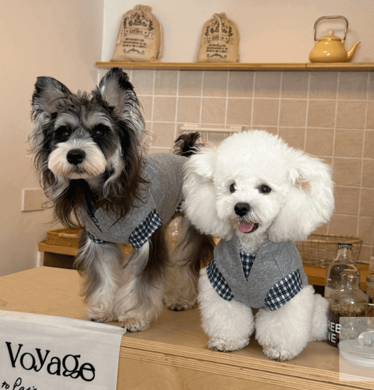 Pet sweatshirt Korean Style Fleece Lined Fake Two Piece Gray Size XXS-XL