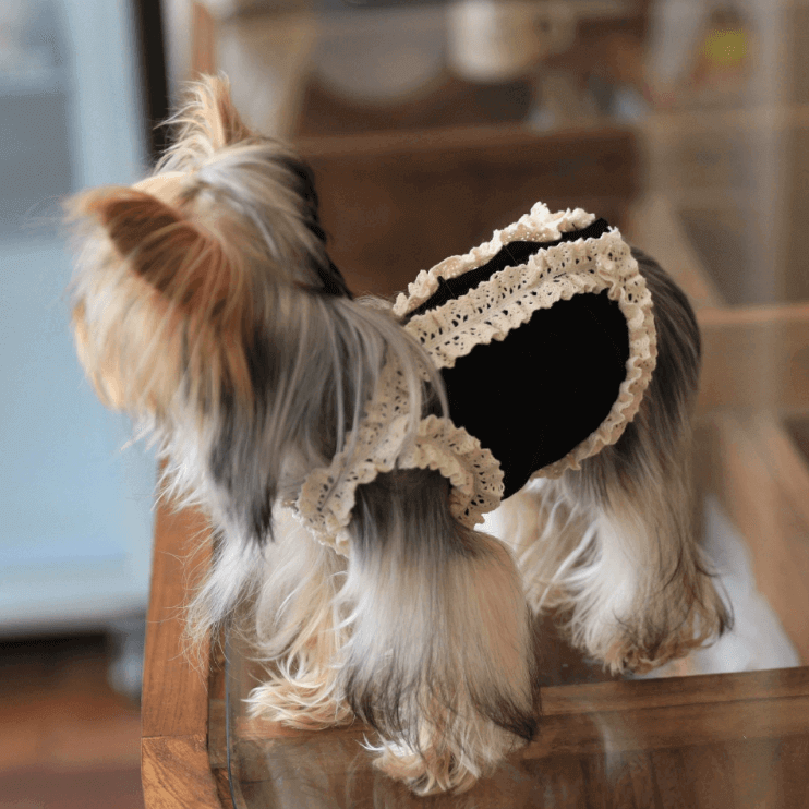 Black Tank Top - Lace Trim Cotton Sleeveless Vest