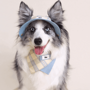 Pet Bandana Worn Check Blue Triangle Bib Large