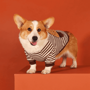 Cozy Fleece Pet Sweatshirt – Warm Winter Dog Hoodie