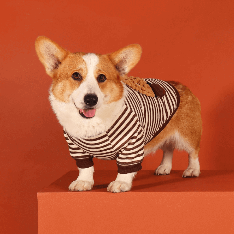 Cozy Fleece Pet Sweatshirt – Warm Winter Dog Hoodie