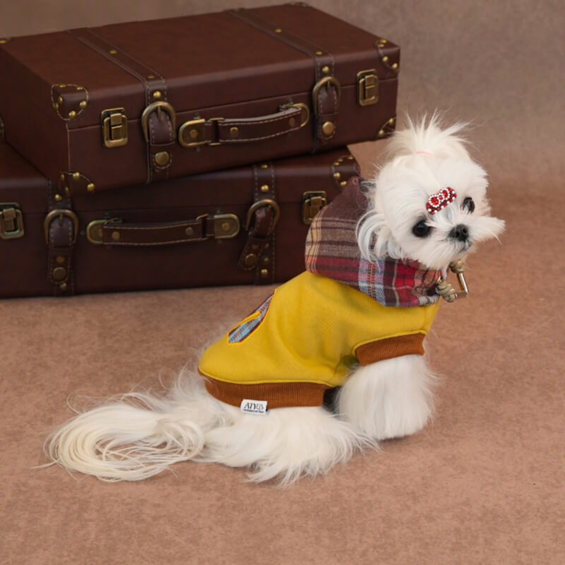 Horse Embroidered Dog Hoodie – Classic Plaid Sweatshirt