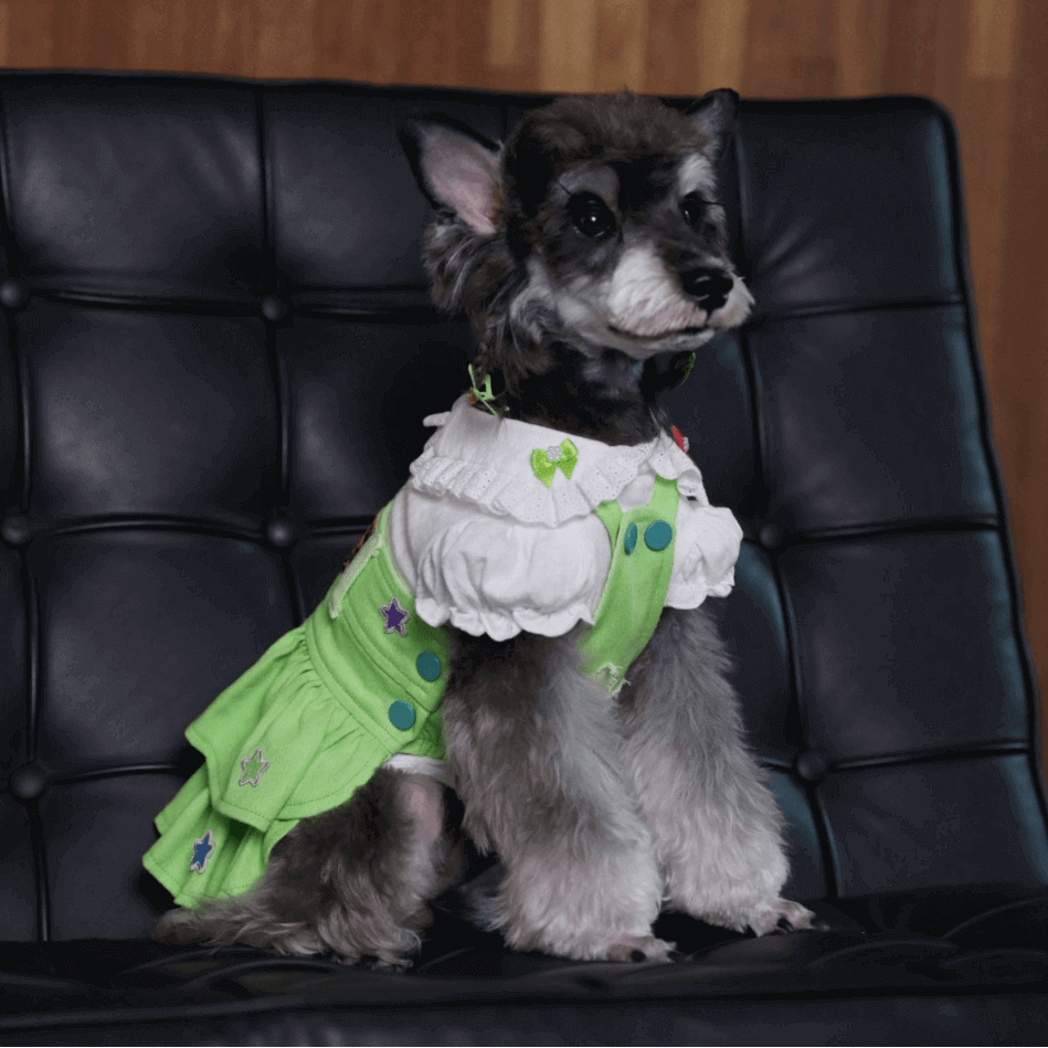 BELO Green Pet Suspender Dress – Stylish Dog Overall Outfit