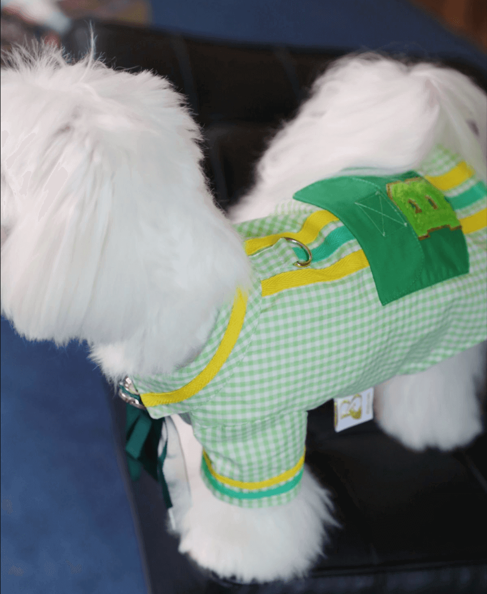 BELO Green Plaid Dog Shirt – Trendy Check Pet Tee