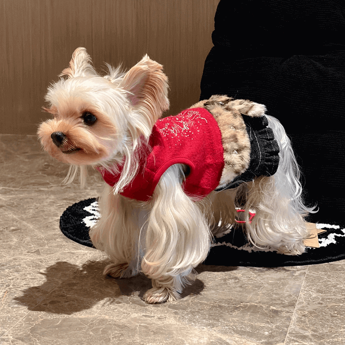 Small Dog Dress Sweet Harajuku Style Leopard Print Sweater Size XS-XL