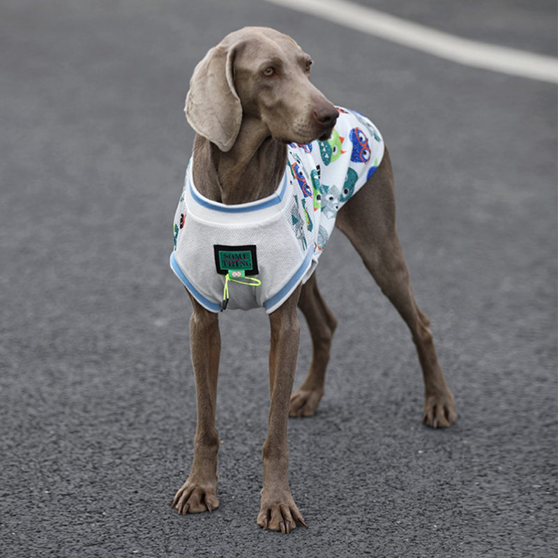 Sport Mesh Tank Top T Shirt Big Dog Clothes - PIKAPIKA