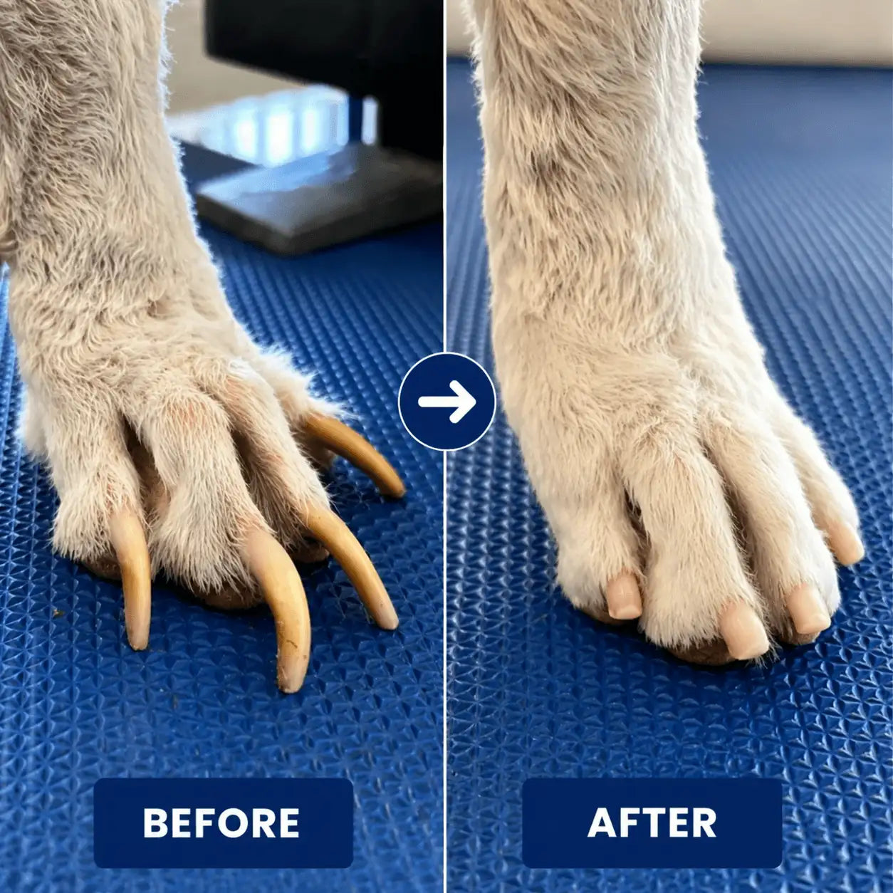 TahupetTM |Stress-Free Nail Care Board