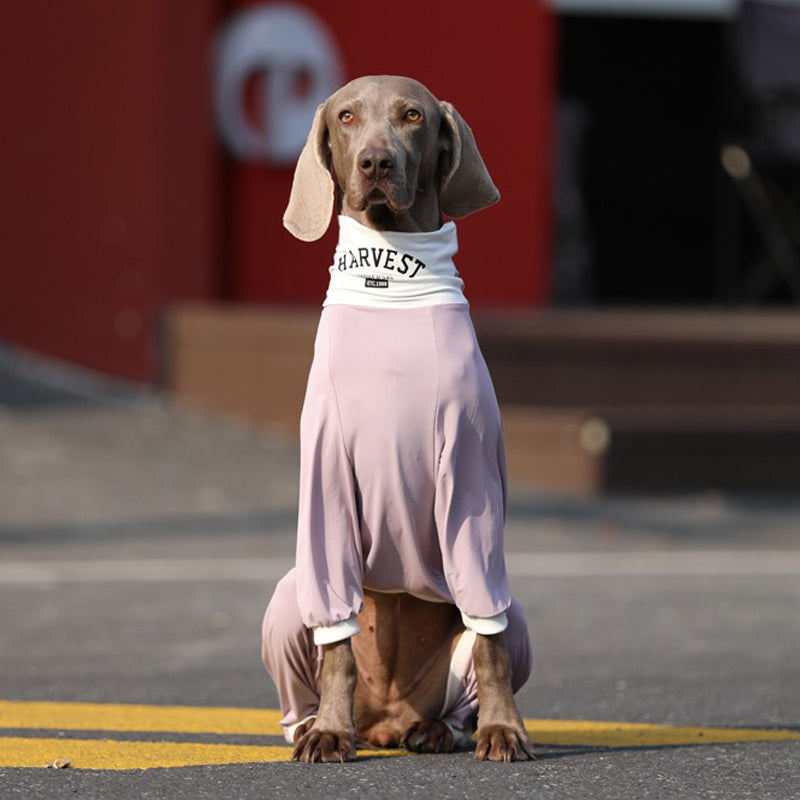 UPF50+ Soft Cotton Breathable Onesie Big Dog Clothes - PIKAPIKA