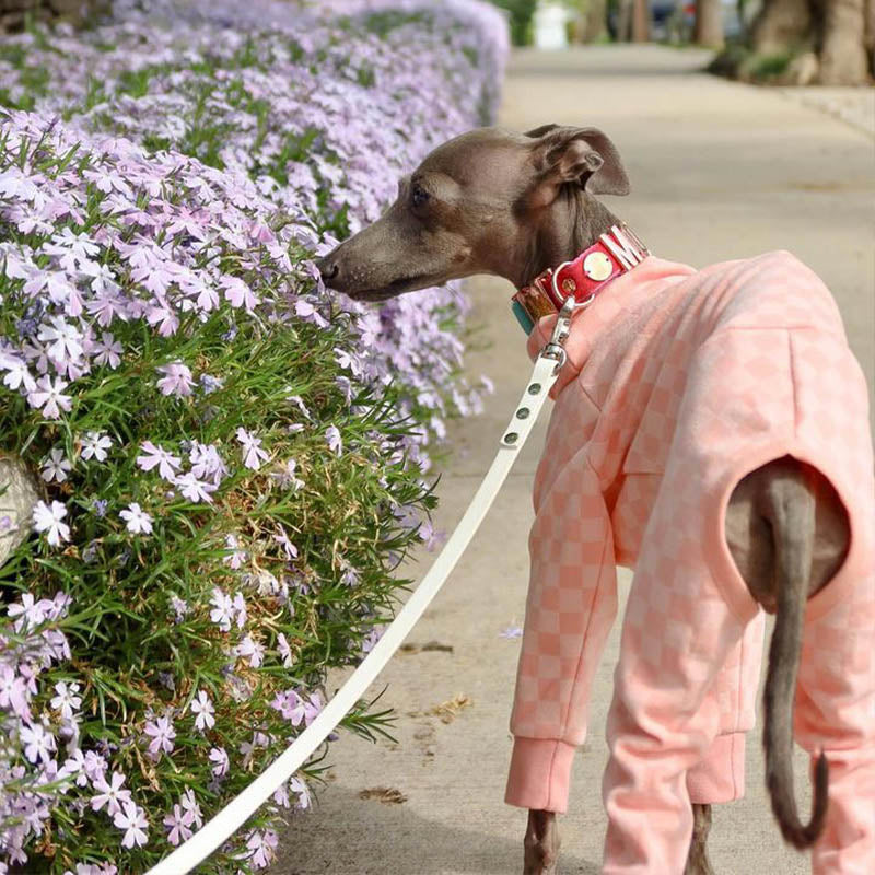 Plaid Onesie for Italian Greyhound Whippet Dog Clothes - PIKAPIKA