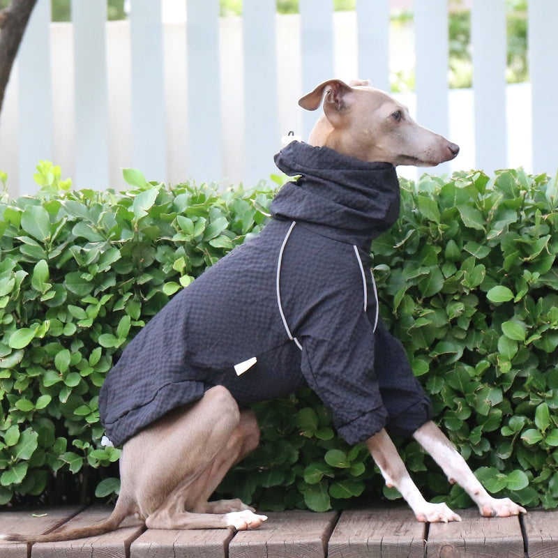 Waterproof Reflective  Jacket Italian Greyhound Whippet Raincoat