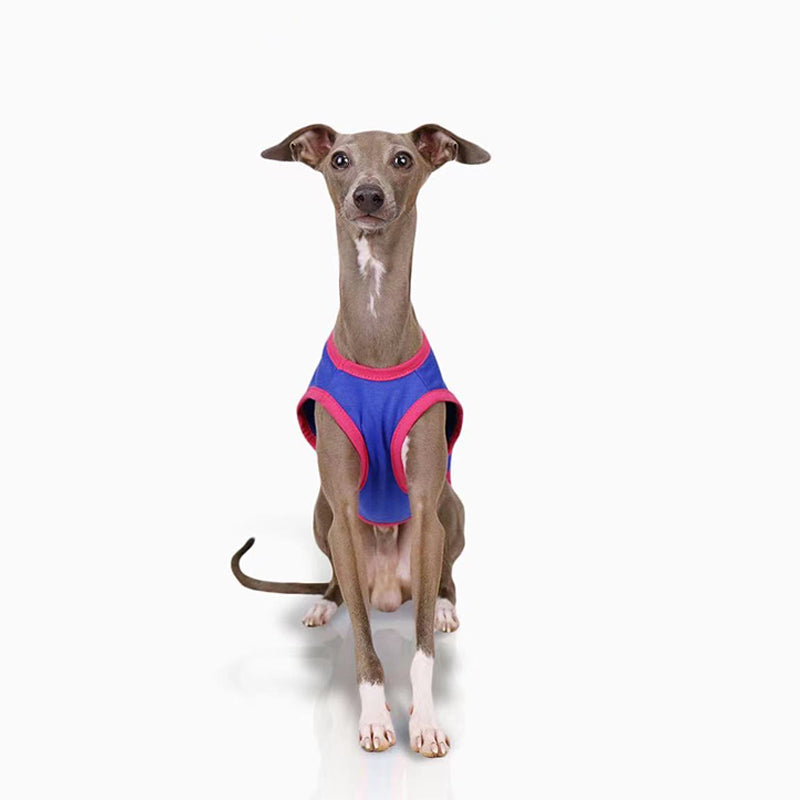 Cotton Soft Tank Top Shirt Italian Greyhound Whippet Dog Clothes - PIKAPIKA