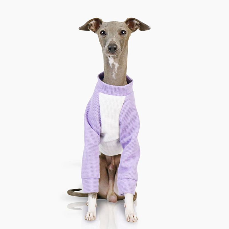 Cotton Soft Shirt Italian Greyhound Whippet Dog Clothes - PIKAPIKA
