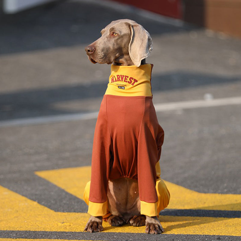 Soft Cotton Breathable Onesie Big Dog Clothes - PIKAPIKA