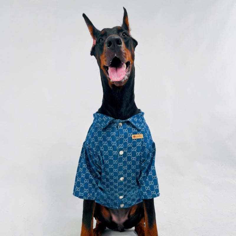 Denim Shirt Big Dog Clothes Cotton Soft Spring