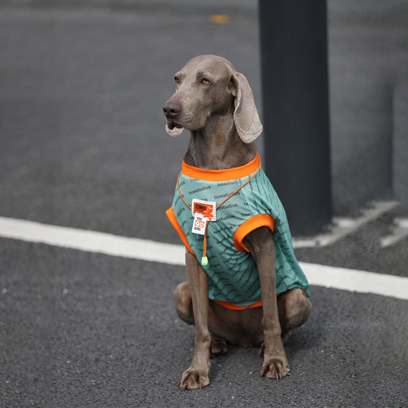 Sport Mesh Tank Top T Shirt Big Dog Clothes - PIKAPIKA