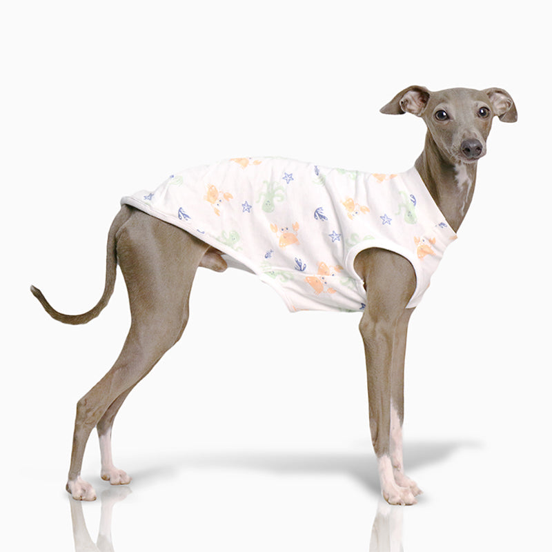 Summer Cotton Soft Tank Top Shirt Italian Greyhound Whippet Dog Clothes - PIKAPIKA