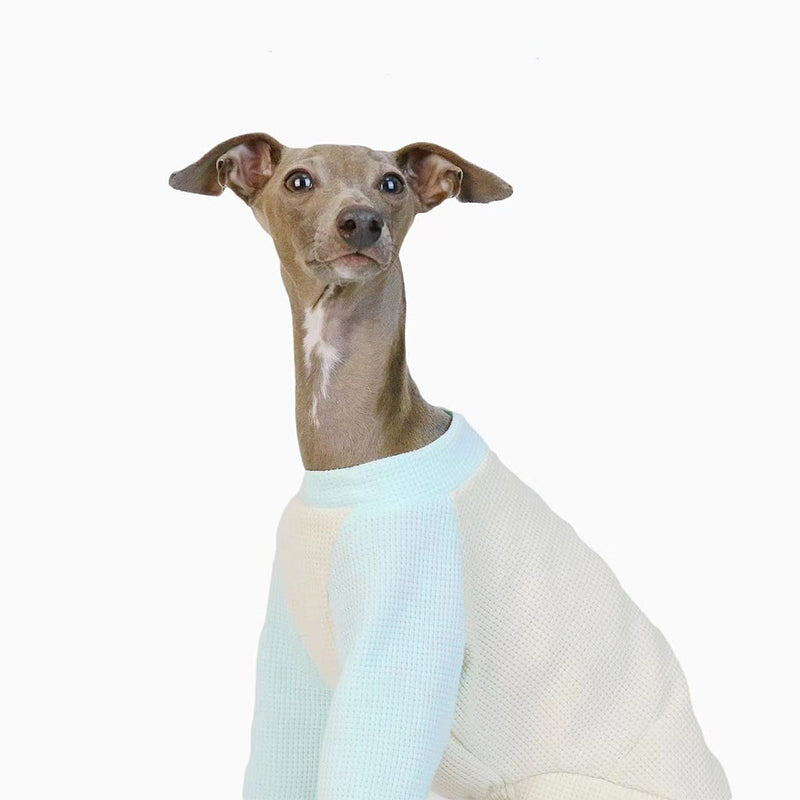 Cotton Soft Shirt Italian Greyhound Whippet Dog Clothes - PIKAPIKA