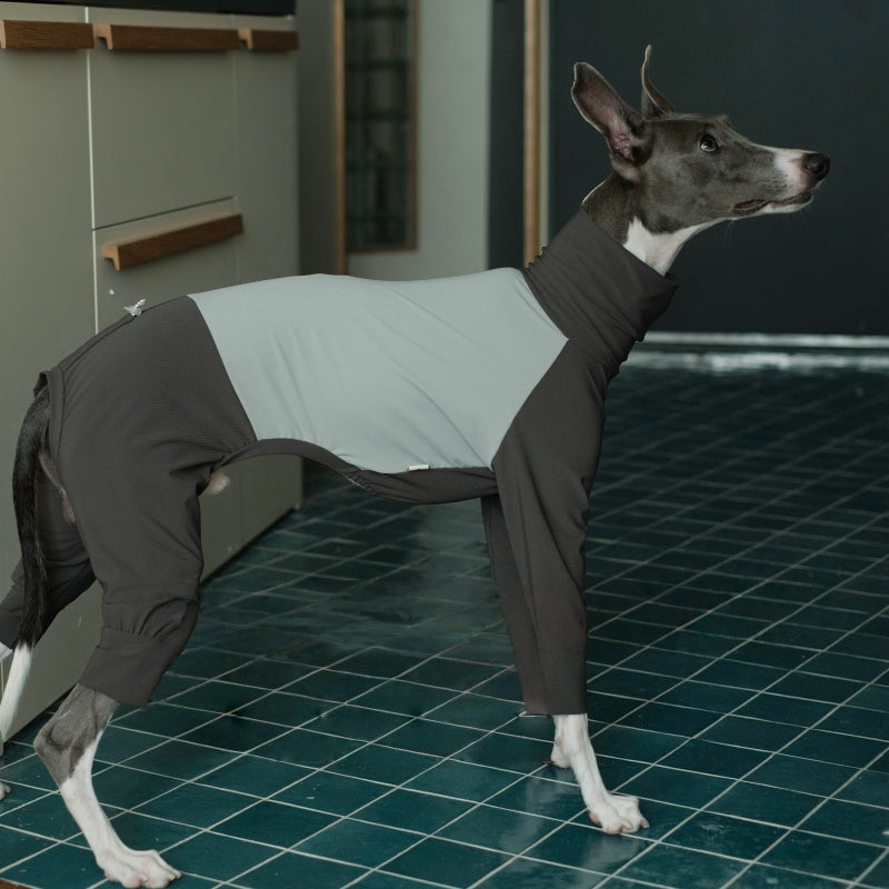 Anti-Insect Outdoor Onesies Italian Greyhound Whippet Clothes
