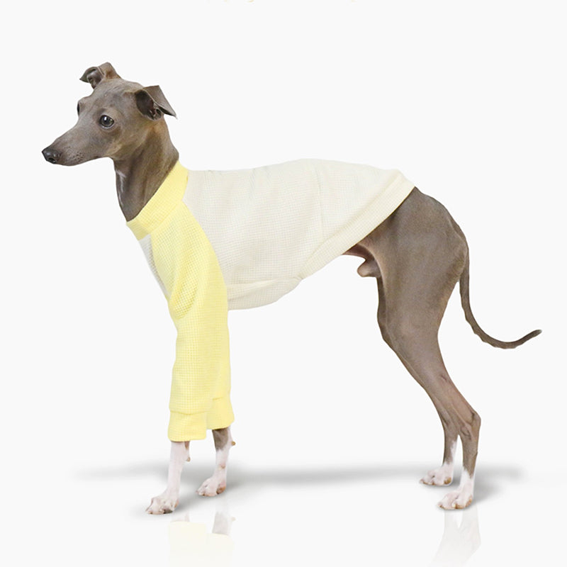Cotton Soft Shirt Italian Greyhound Whippet Dog Clothes - PIKAPIKA