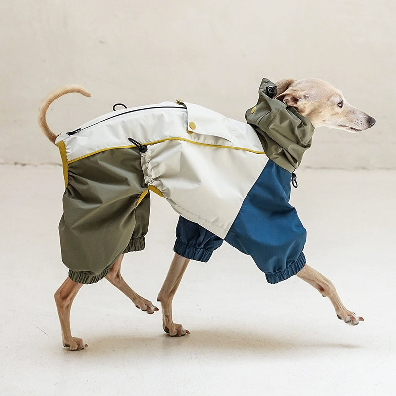 Outdoor Jacket Waterproof Windproof Raincoat Italian Greyhound Whippet Clothes - PIKAPIKA