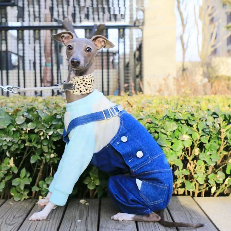 Denim Cotton Pants Italian Greyhound Whippet Dog Clothes - PIKAPIKA