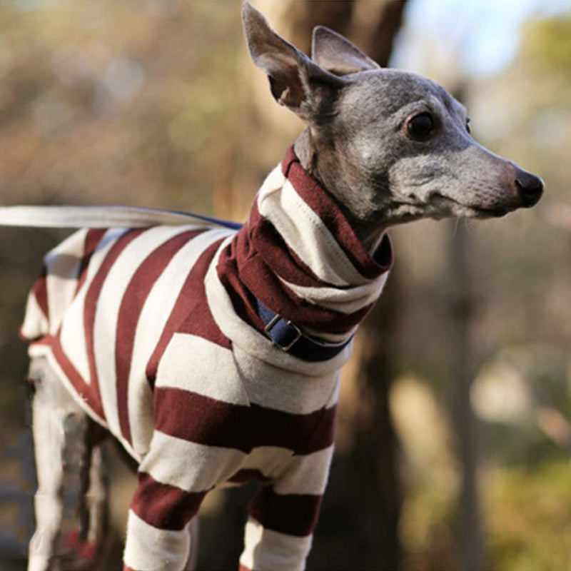 Cotton Stripe Onesie Whippet Dog Clothes - PIKAPIKA