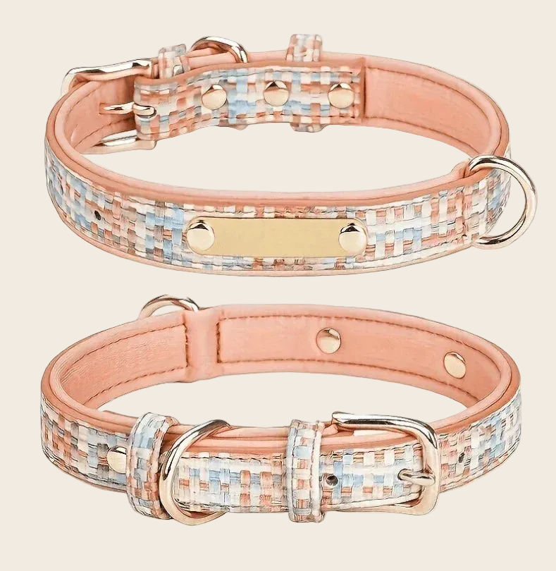 BELO No-Pull Dog Collar – Durable Anti-Pull Training Collar for Small & Medium Dogs - TAHUPET.co