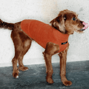 Thermal Stretch Dog Vest - Warm Sleeveless Jacket