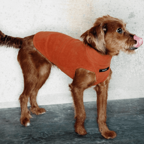 Thermal Stretch Dog Vest - Warm Sleeveless Jacket