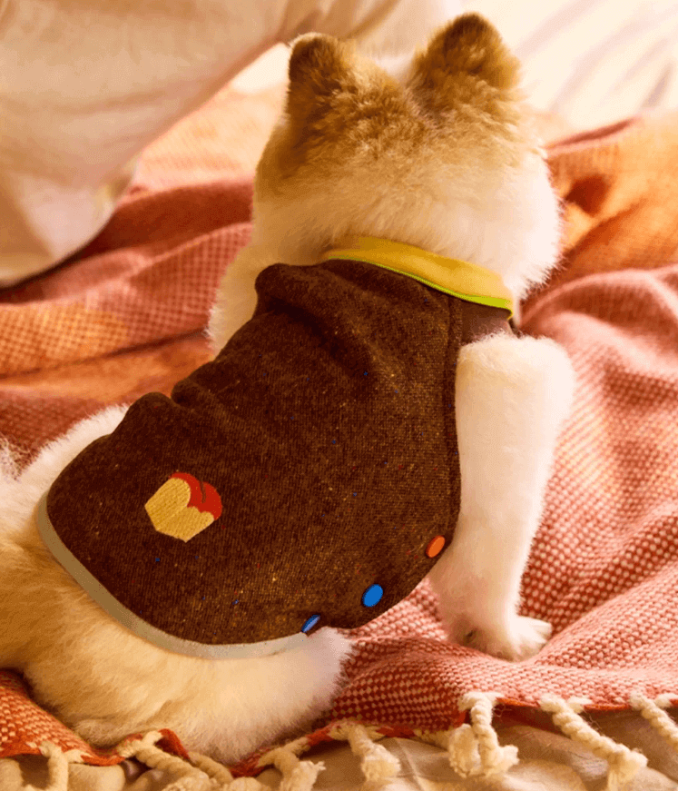 Rainbow Button Dog Vest – Adjustable Cozy Pet Waistcoat