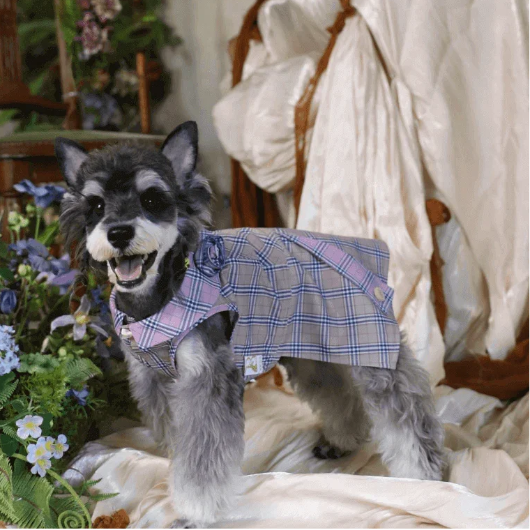 BELO Retro Plaid Dog Dress – Adorable Outfit for Small Dogs and Puppies - TAHUPET.co