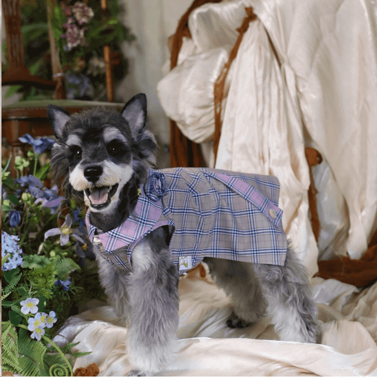 BELO Retro Plaid Dog Dress – Adorable Outfit for Small Dogs and Puppies
