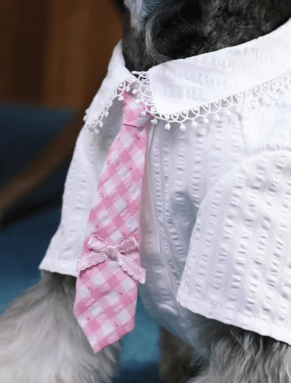 BELO Pink & White Dog Shirt with Tie