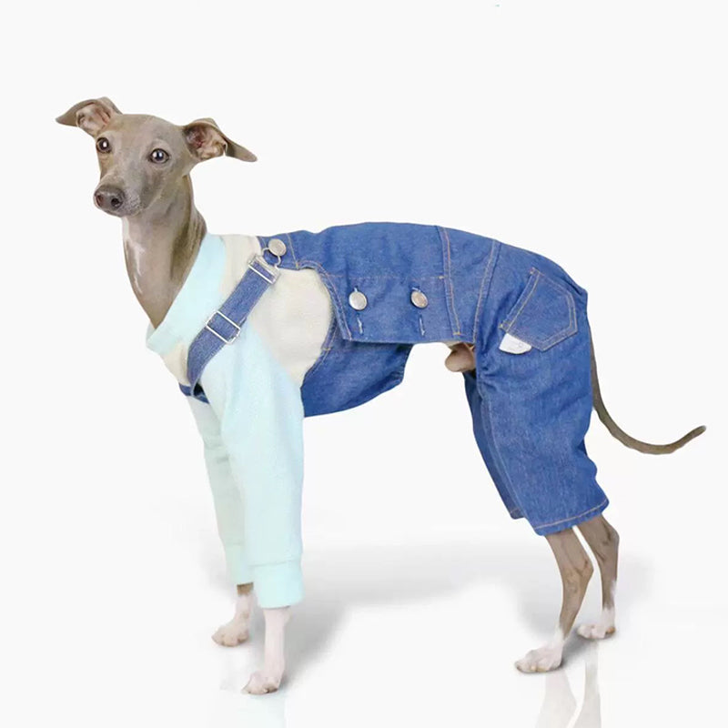 Denim Cotton Pants Italian Greyhound Whippet Dog Clothes - PIKAPIKA