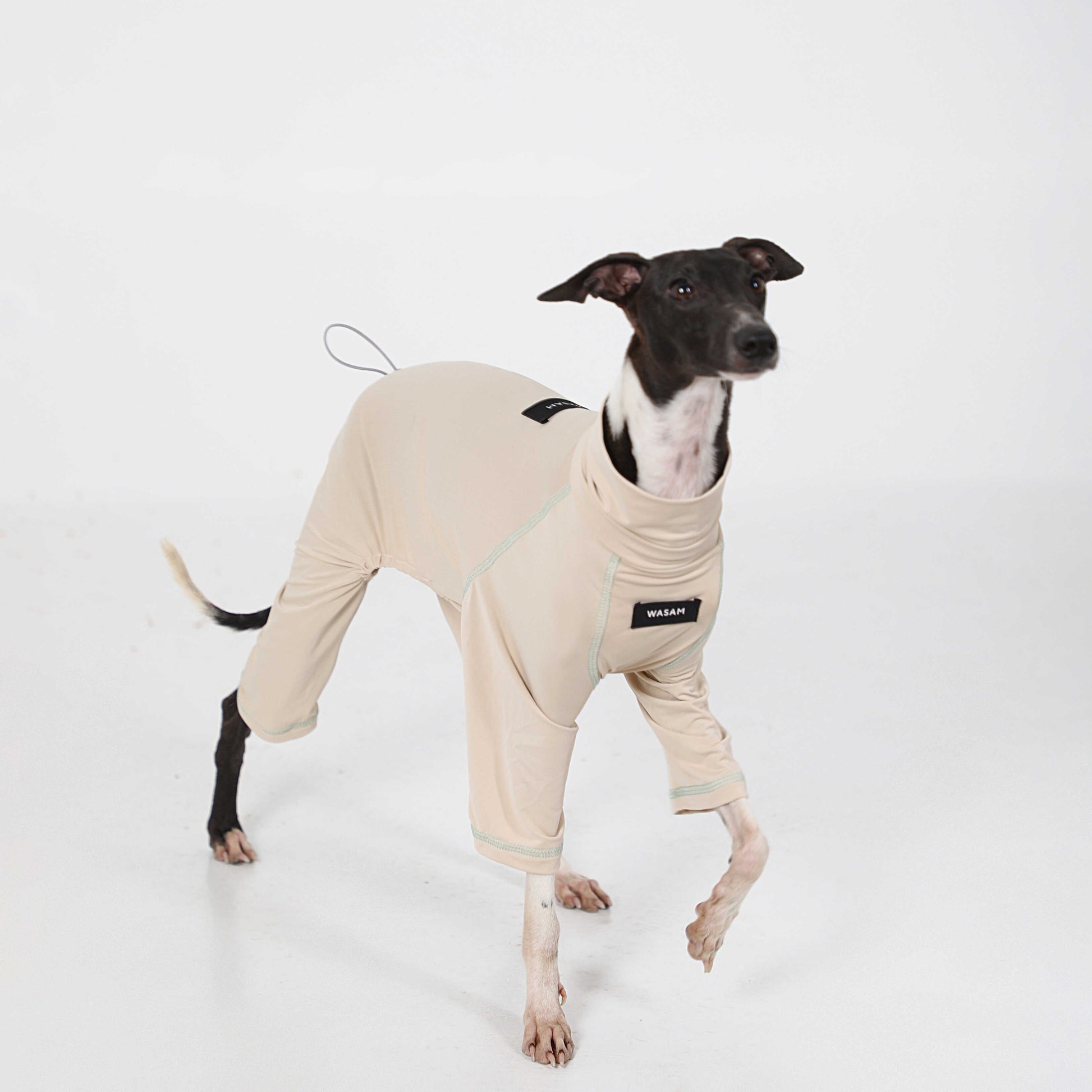 Cotton Soft Summer Onesie Italian Greyhound Whippet Dog Clothes - PIKAPIKA