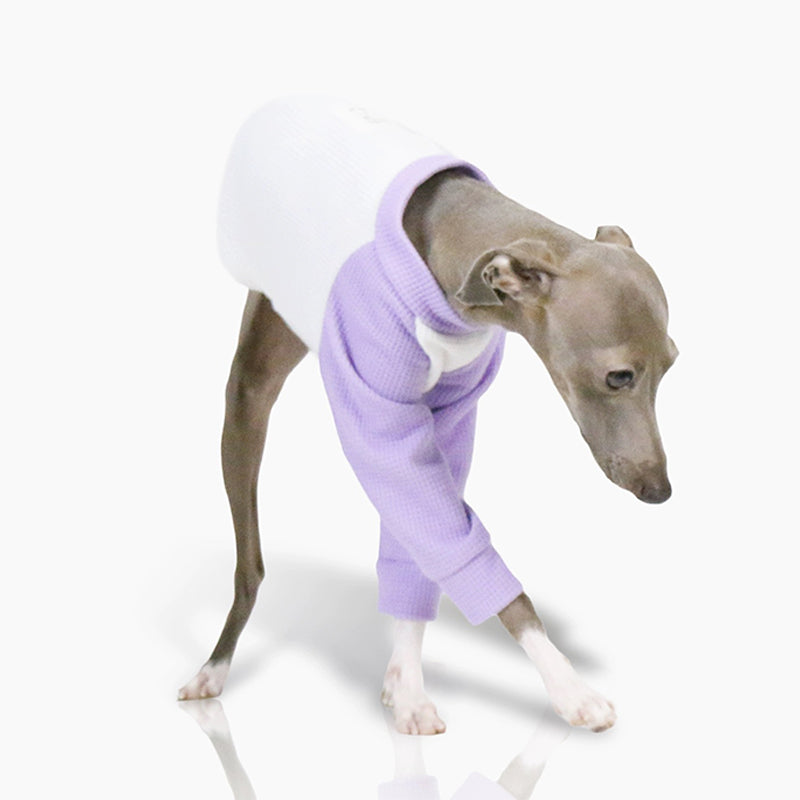 Cotton Soft Shirt Italian Greyhound Whippet Dog Clothes - PIKAPIKA