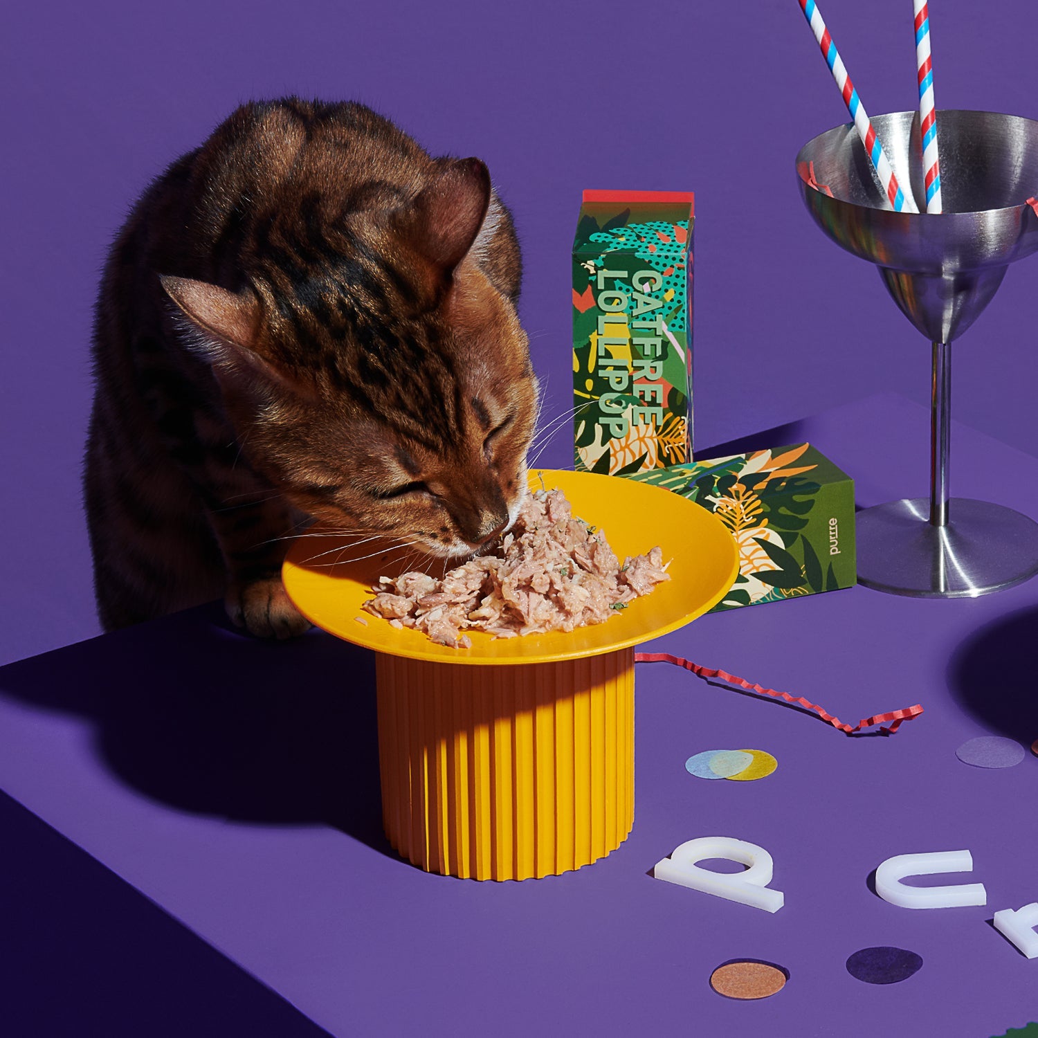 Cat Raised Food Bowl Feeder and Waterer - PIKAPIKA