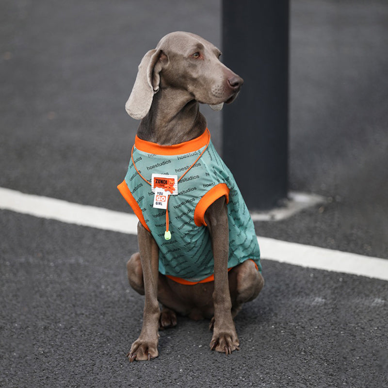 Sport Mesh Tank Top T Shirt Big Dog Clothes - PIKAPIKA