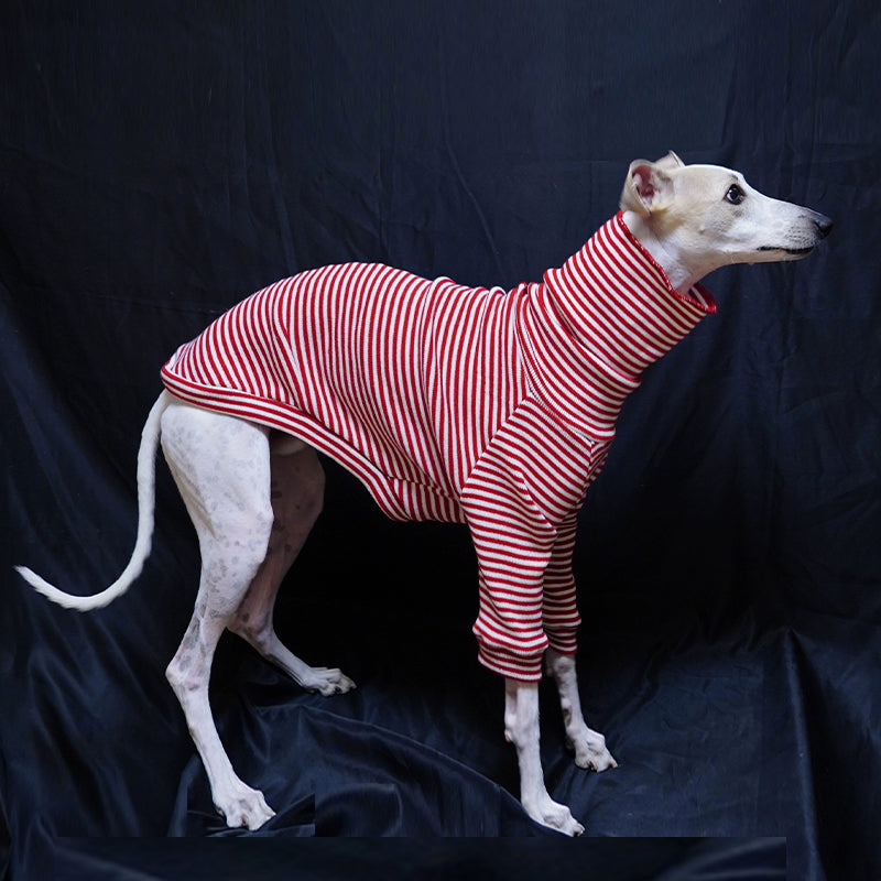 Stretch Stripe Turtleneck Shirt Italian Greyhound Whippet Dog Clothes - PIKAPIKA