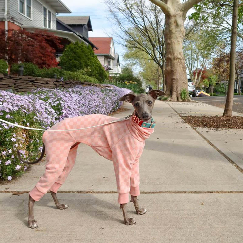 Plaid Onesie for Italian Greyhound Whippet Dog Clothes - PIKAPIKA