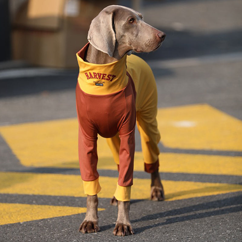Soft Cotton Breathable Onesie Big Dog Clothes - PIKAPIKA