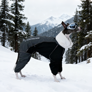 Winter Waterproof Windproof Onesie Italian Greyhound Whippet Clothes