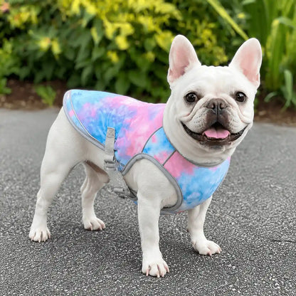 Beat the Heat: Instant Dog Cooling Vest