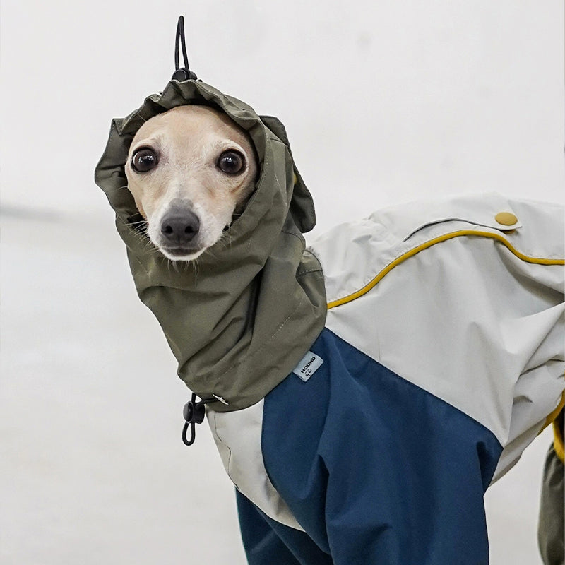 Outdoor Jacket Waterproof Windproof Raincoat Italian Greyhound Whippet Clothes - PIKAPIKA